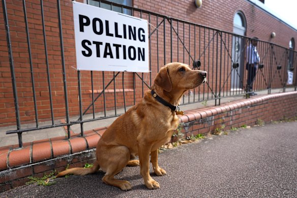 Un perro se encuentra fuera de una estación de votación en Londres durante las últimas elecciones del Reino Unido, en la que 48 millones de personas eran elegibles para lanzar una votación. Hay alrededor de 1.6 millones de personas de 16 y 17 años.