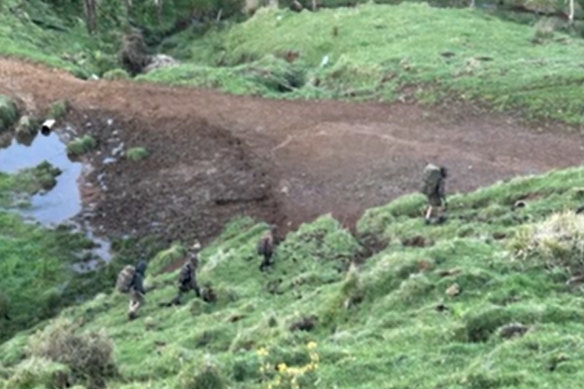 El avistamiento de la familia Phillips en tierras de cultivo cerca de Marokopa.