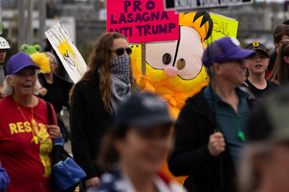 Los estrategas políticos de ambos lados del pasillo dicen que los disfraces son una forma eficaz de protestar contra la administración Trump.